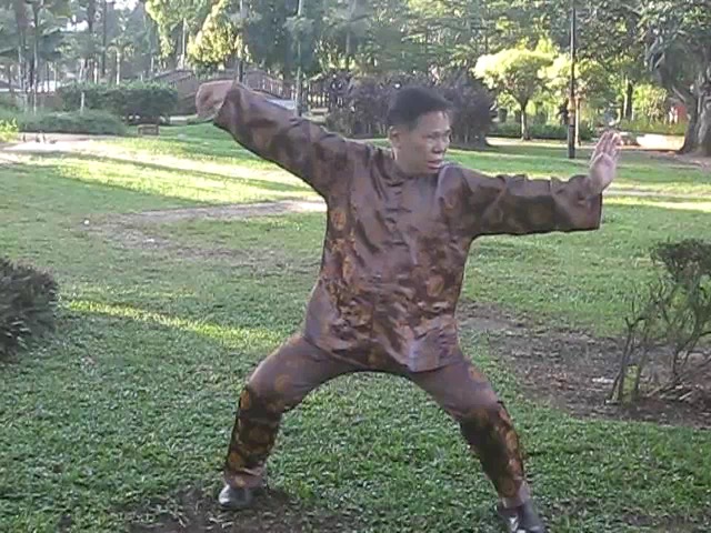 Wu Chuan You Style Taijiquan